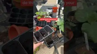 cleaning and sanitizing gardening pots before reusing #gardening #gardeningtips #beginnergardener