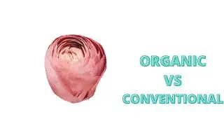 ORGANIC VS CONVENTIONAL FOOD!