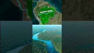 Amazon Rainforest Facts You Must Know | Nature&rsquo;s Greatest Wonder