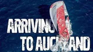 Auckland Live Arrivals | Volvo Ocean Race 2014-15
