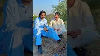 Malik kashif zaigham pothwari poetry 