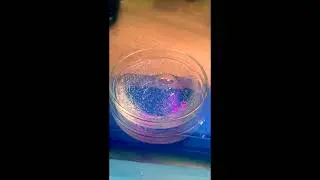 Fizzy Bubbles ASMR &ndash; Water + Glycine