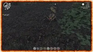 time to fight spiders, with spiders....island notes ep2