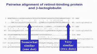 Output of Pairwise Alignment