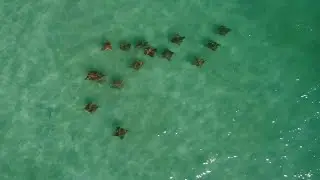 Rays of Long Island (4K Drone Footage)