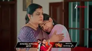 Akale | Ep - 413 | Best Scene | Jan 22 2026 | Zee Keralam