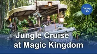 Jungle Cruise 🌴 at Magic Kingdom