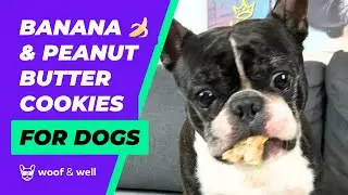 BANANA 🍌 & PEANUT BUTTER COOKIES 🍪 FOR DOGS #dogtreats #dogcookies
