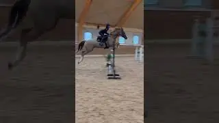 #ryan #showjumping #equestrianrider #junior #juniorhorse