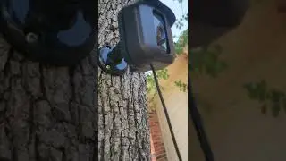 Solar Panel fur Outdoor Blink Camera HONEST Review