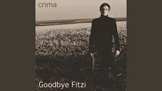 Goodbye Fitzi