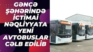 Gəncə şəhərinə yeni avtobuslar gətirilib