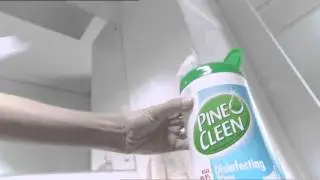 Pine O Cleen 