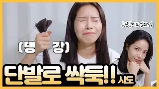 심심해서 단발로 잘라버림 ㅋㅋㅋㅋㅋㅋㅋㅋ