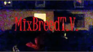 New Exclusive: MixBreedT.v. Presents Wurk Boyz 2011 -(Trained To Go) Appitizer Trailer