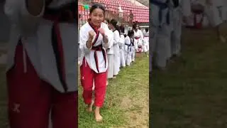 Demonstration team