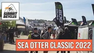 Sea Otter 2022 Coverage