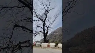 Pahad me jane ki baat hi alag h #mussorie #pahad #waytoheaven #pahadokirani  #pahadokasafar #travel