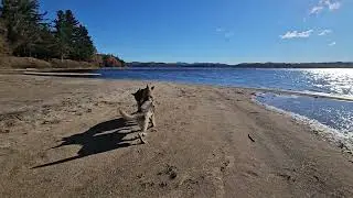 Sasha and Dodge Piseco Lake 10-12-24