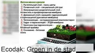 Groene dakbedekking - een ongebruikelijke oplossing voor dakdesign