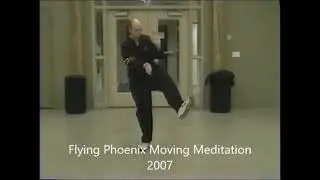 Flying Phoenix Moving Meditation