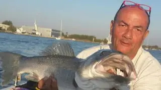 SPIGOLE IN FOCE CON MASSIMO ARDENTI