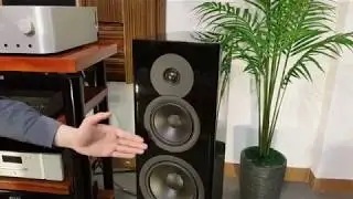 Loa Dynaudio Evoke 50 dòng loa Hifi mới sở hữu nhiều công nghệ đầu bảng.