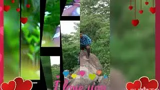 Guibera baipee