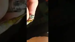 How to if Vape pen is not working right?