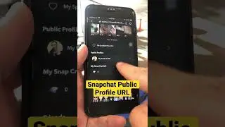 How to share your Snapchat public profile URL