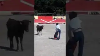 Marco Perez torero