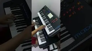 双电子琴演奏 苦酒满杯 (Cover by~Bu) #shorts