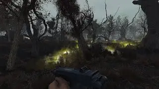 MORE STALKER ANOMALY GAMEPLAY AT 120FPS w/ LOSSLESS!! (SEE DESCRIPTION FOR FEATURES!)