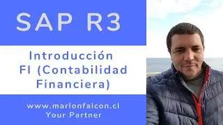 6.1 Curso SAP FI | Clase 1 Introducción a FI (Contabilidad Financiera)