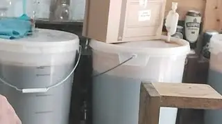 Homebrew Updates Imperial Mild - Imperial Ginger Barley Wine - Imperial Cream Stout - Vimto Wine