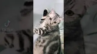 мемасик #8022