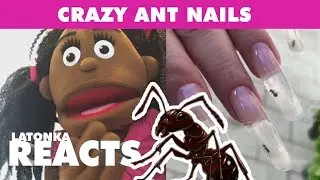 Nail Art Made With Real Ants! - LaTonka Reacts