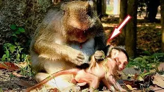 Million Pity, Poor Baby Dustin, Why Mom Catching hold Baby like this? Dustin Extremely Heart.