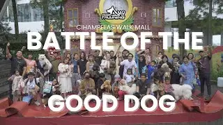 LOMBA DOGGY BERHADIAH EMAS ‼️ BATTLE OF THE GOOD DOG AT CIHAMPELAS WALK MALL BANDUNG
