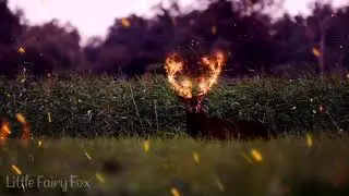 ATLA | The Last Airbender | Fire Nation Ambience & Music | ASMR 🔥