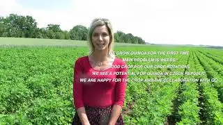 Growing Quinoa in the Czech Republic