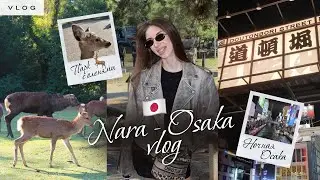 ВЛОГ НАРА-ОСАКА | Парк с оленями и вайб Осаки 🦌