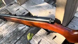 Mossberg model 152K