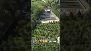 Infrastructure and Farm Success
