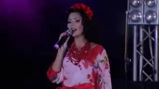 Ой летіли журавлі