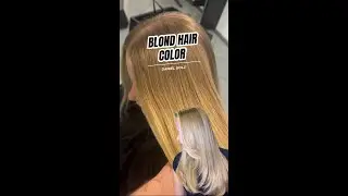 Blond Hair Color by Daniel Golz