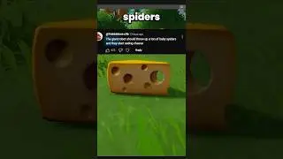 I fed cheese to spider babies&hellip;