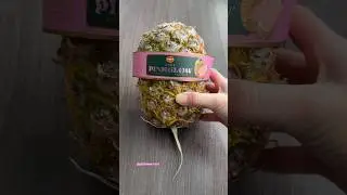 Whoever decided you can&rsquo;t legally grow your own pink pineapples is crazy
