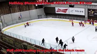 Quebec Holliday Showcase Alicia Perron #5 Black
