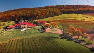 Drone - Autumn at Breaux Vineyars, Virginia - DJI Mavic Air